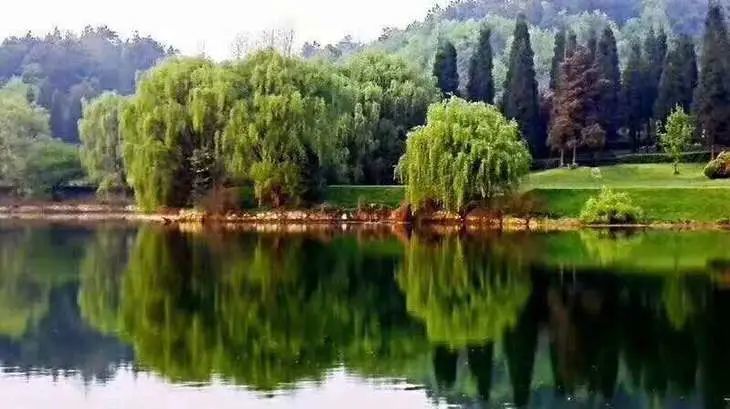 贵阳高尔夫 旺季住打套餐